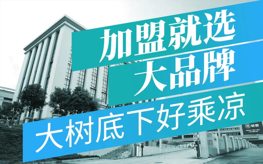 【三万起 做代理】带你入智能晾衣机项目,和晾霸一起犇富2021 【三万起 做代理】带你入智能晾衣机项目,和晾霸一起犇富2021